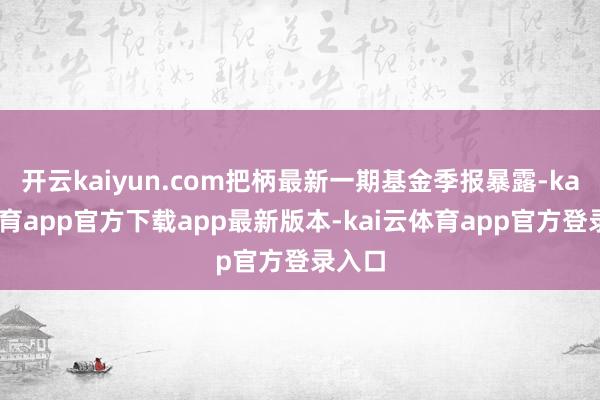 开云kaiyun.com把柄最新一期基金季报暴露-kai云体育app官方下载app最新版本-kai云体育app官方登录入口