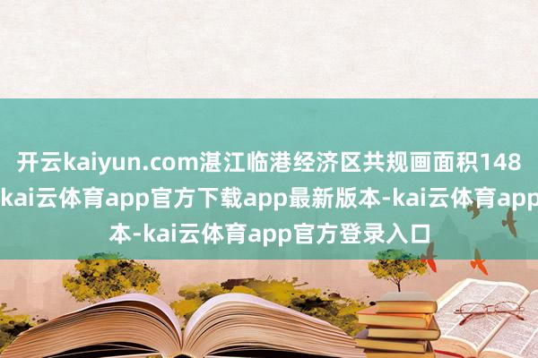开云kaiyun.com湛江临港经济区共规画面积148.81时时公里-kai云体育app官方下载app最新版本-kai云体育app官方登录入口