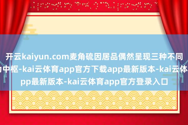 开云kaiyun.com麦角硫因居品偶然呈现三种不同旅途：以麦角硫因为中枢-kai云体育app官方下载app最新版本-kai云体育app官方登录入口